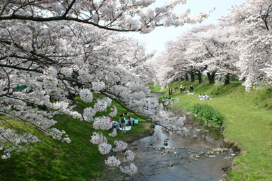 �c�x�쉺���̍�